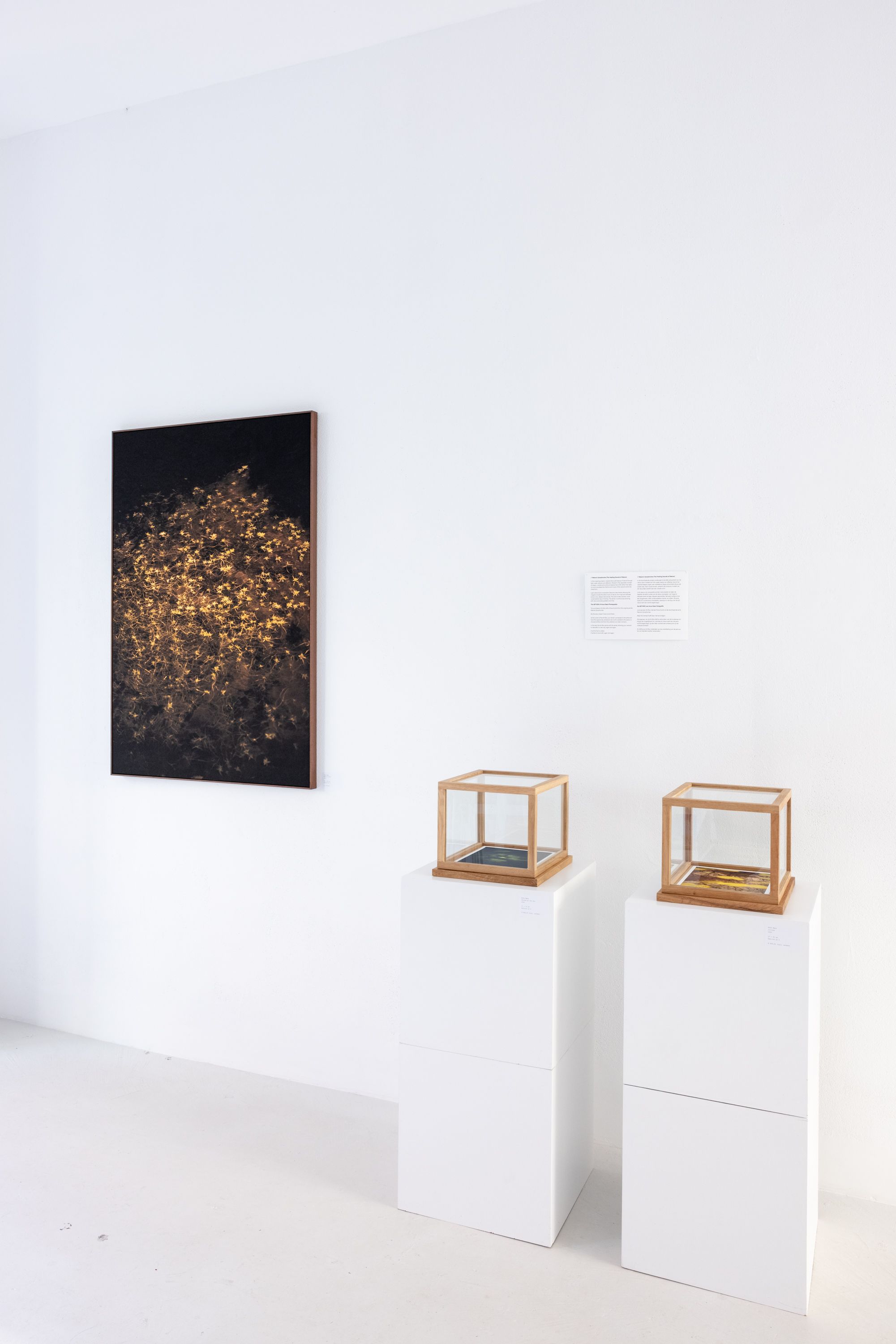 The Unfixed Line, photo credits Merel Klomp and Elmar Janse