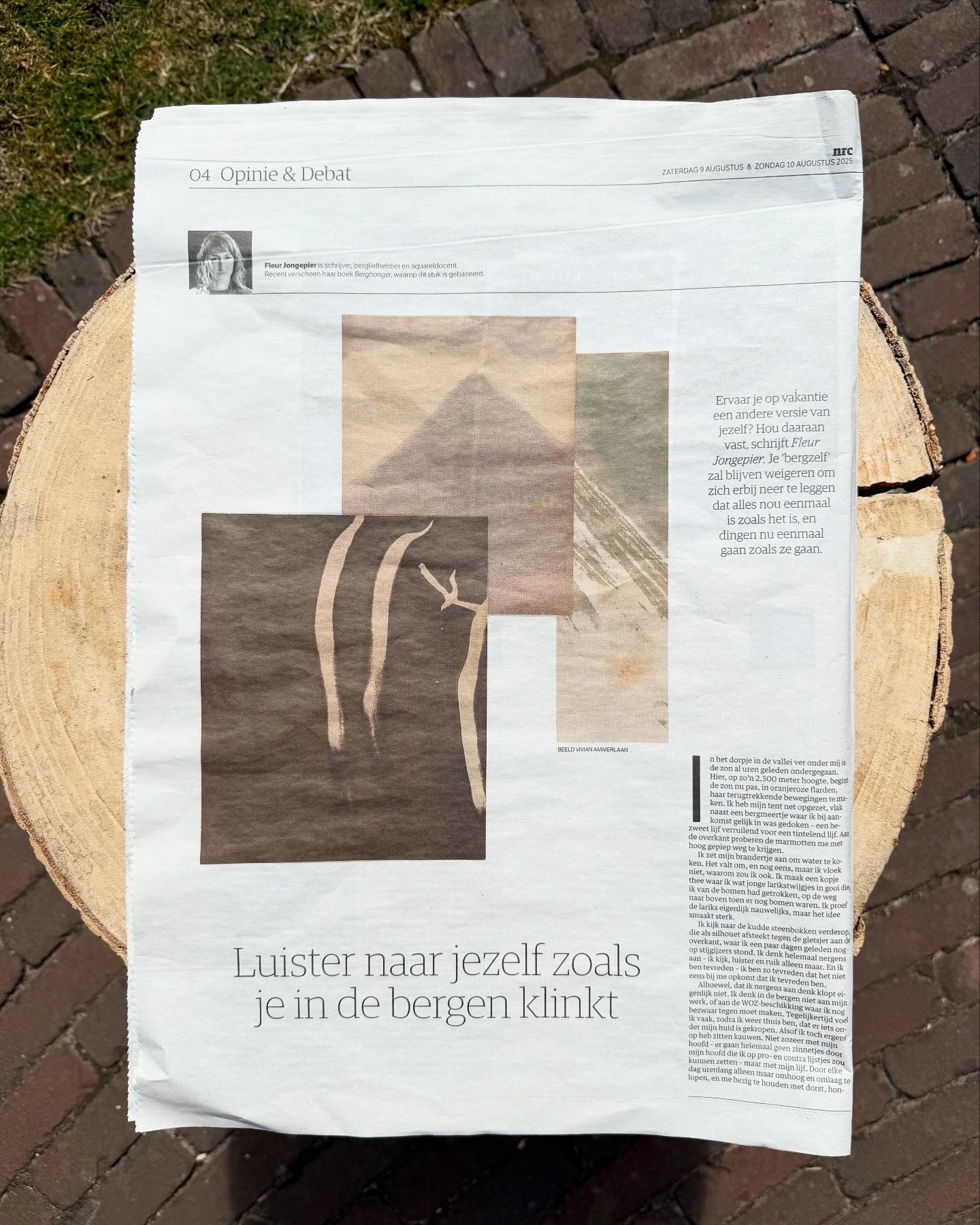 Oerbergen in NRC (2025)