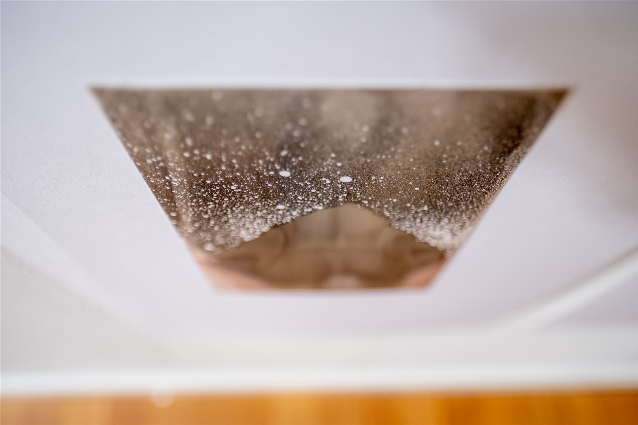 'Verlangen naar bergen' at HVDF (2023)