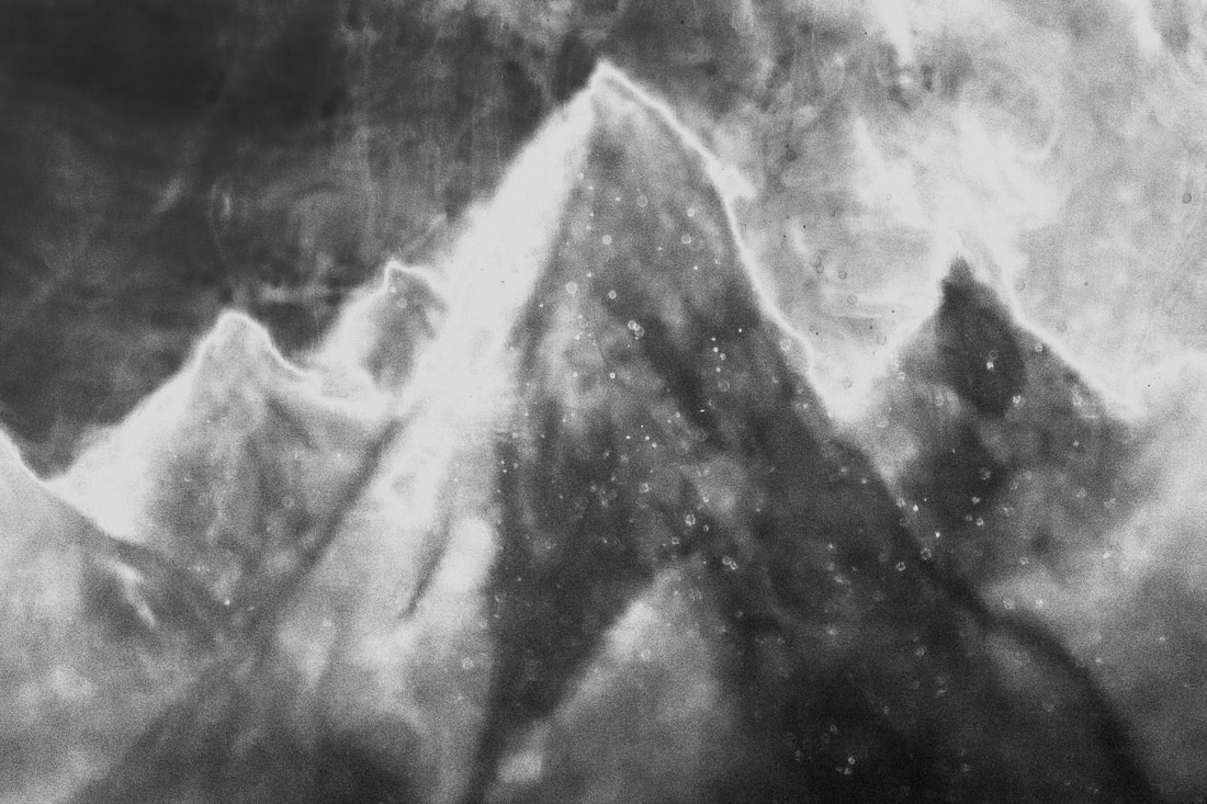 Waanplekken 43 (2021)