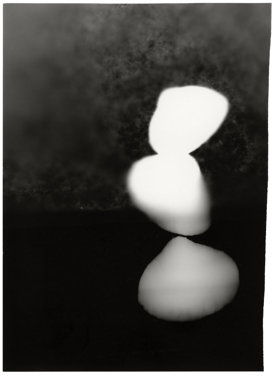 Waanplekken 48 (2021)