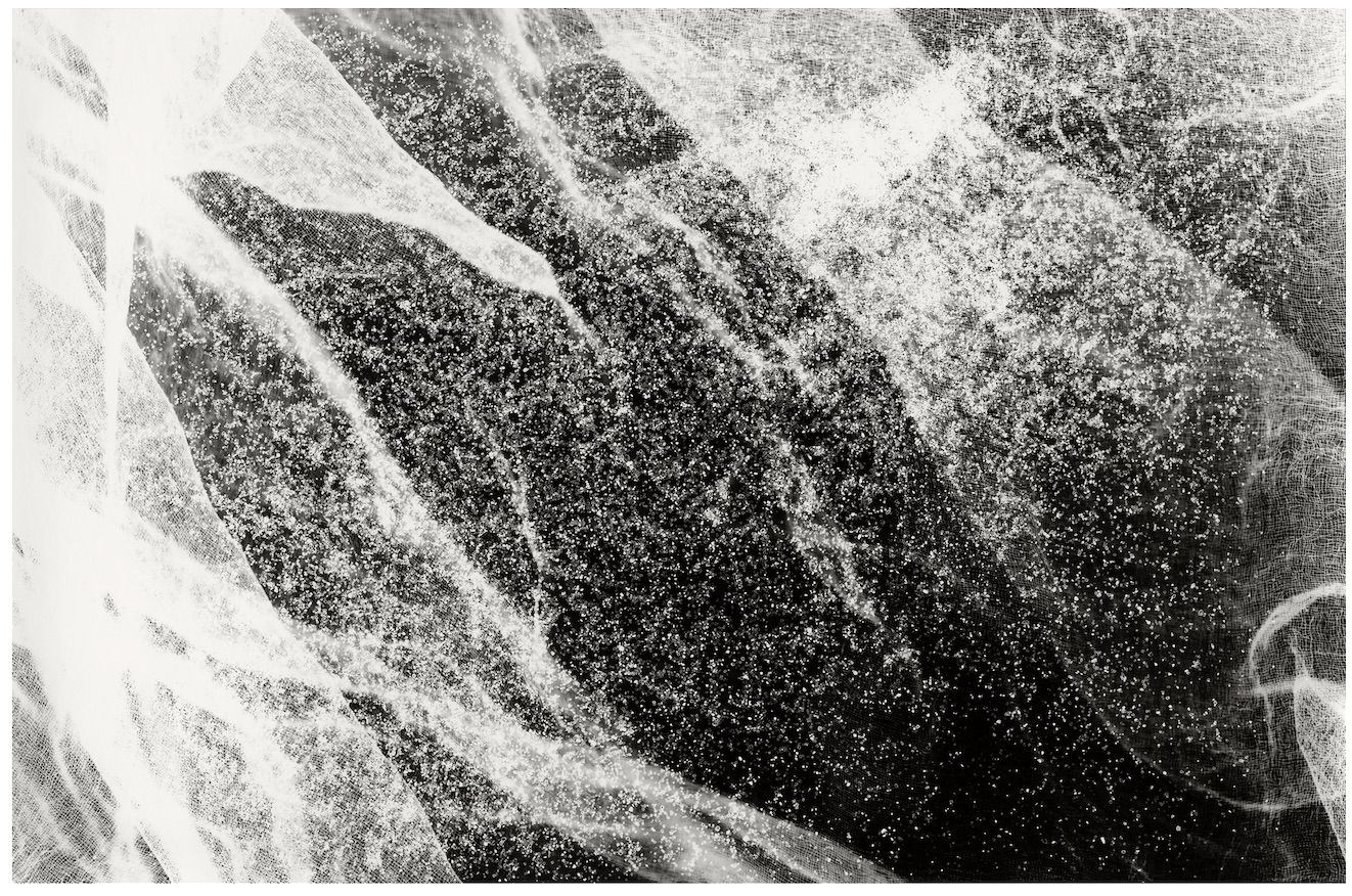 Waanplekken 53 (2021)