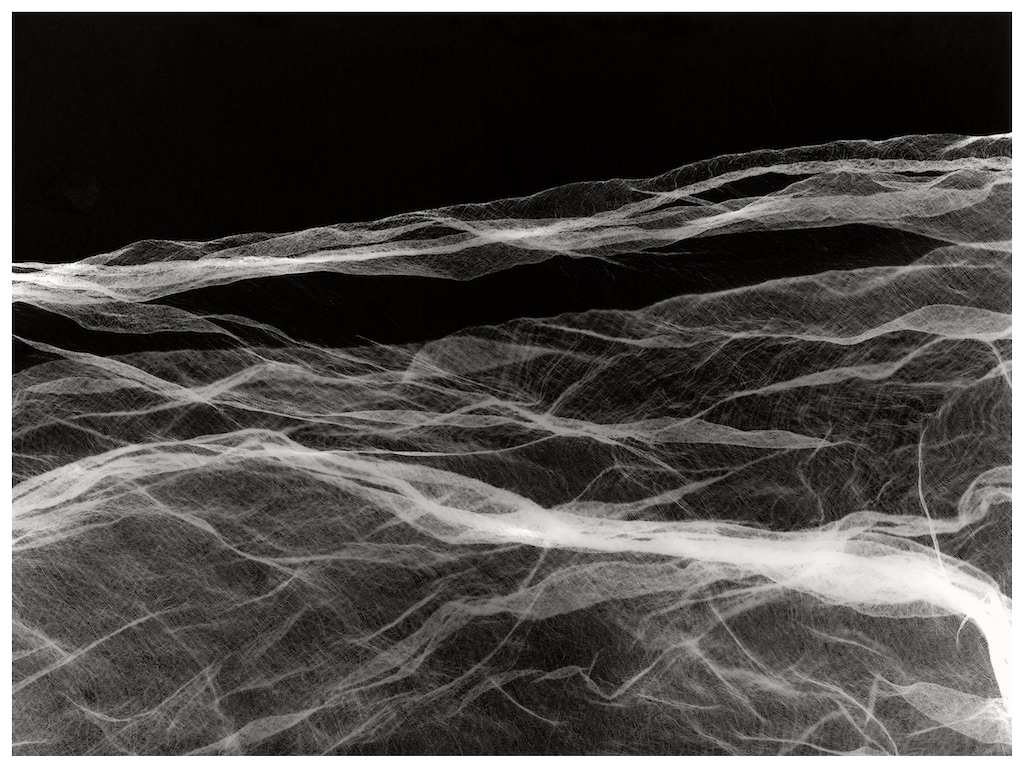 Waanplekken 55 (2021)