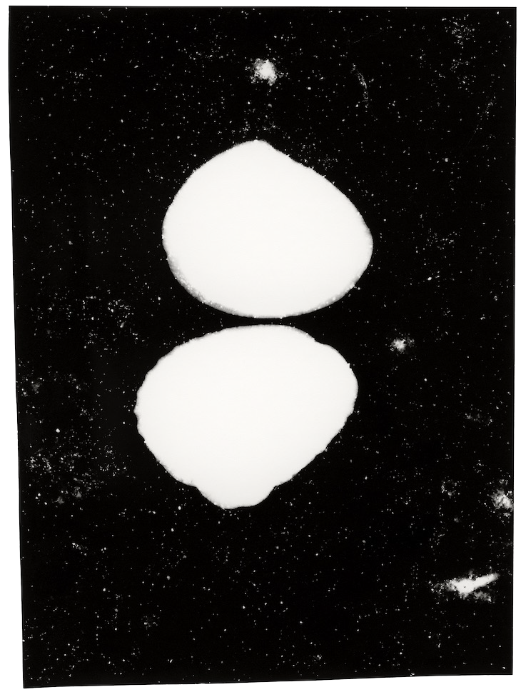 Waanplekken 58 (2021)
