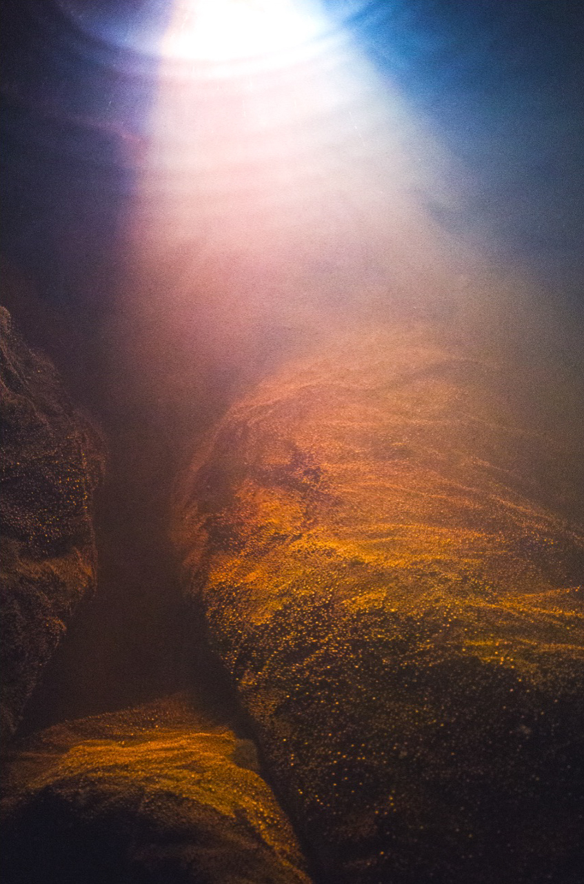 Waanplekken 62 (2021)