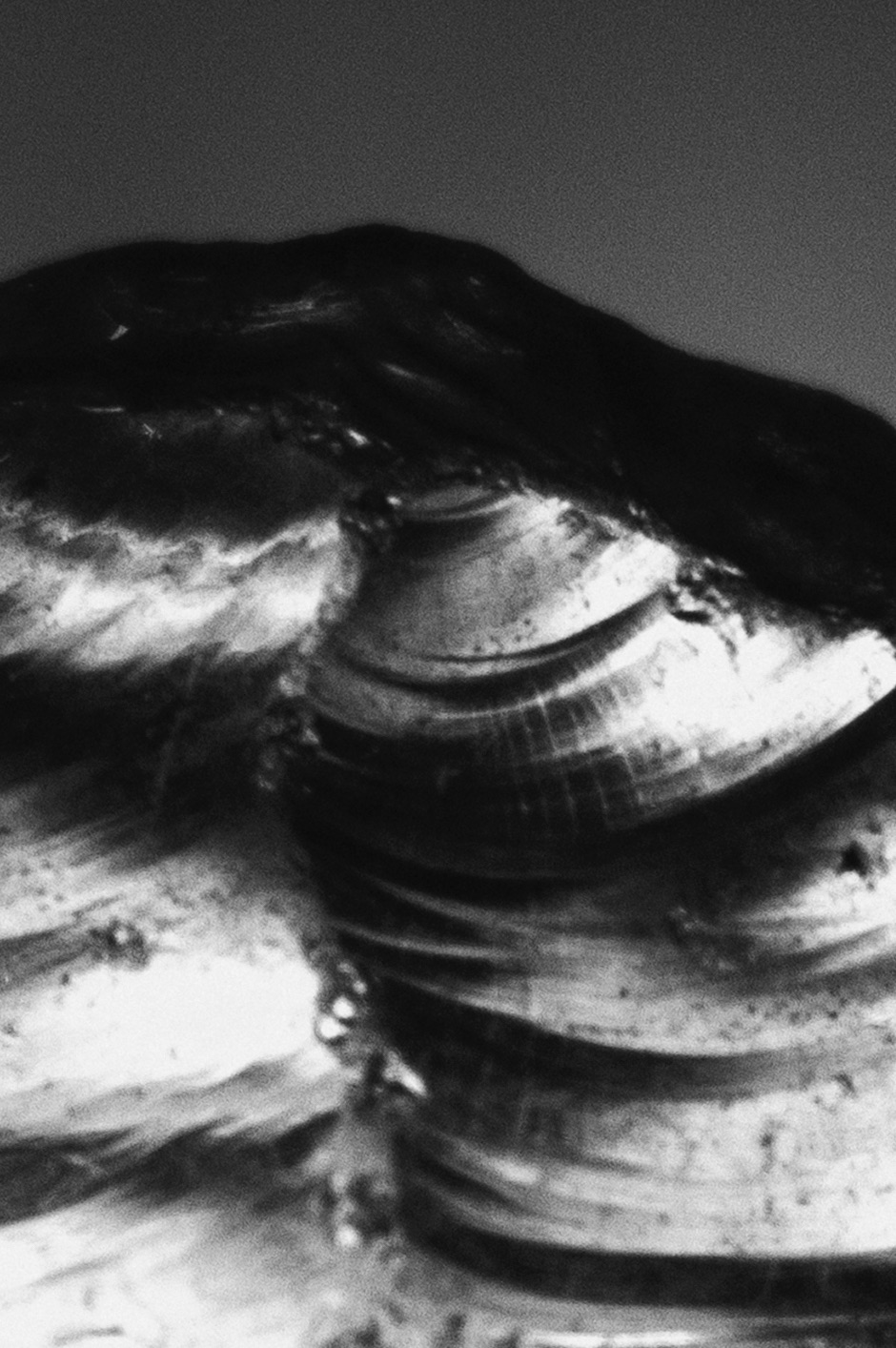 Waanplekken 65 (2021)