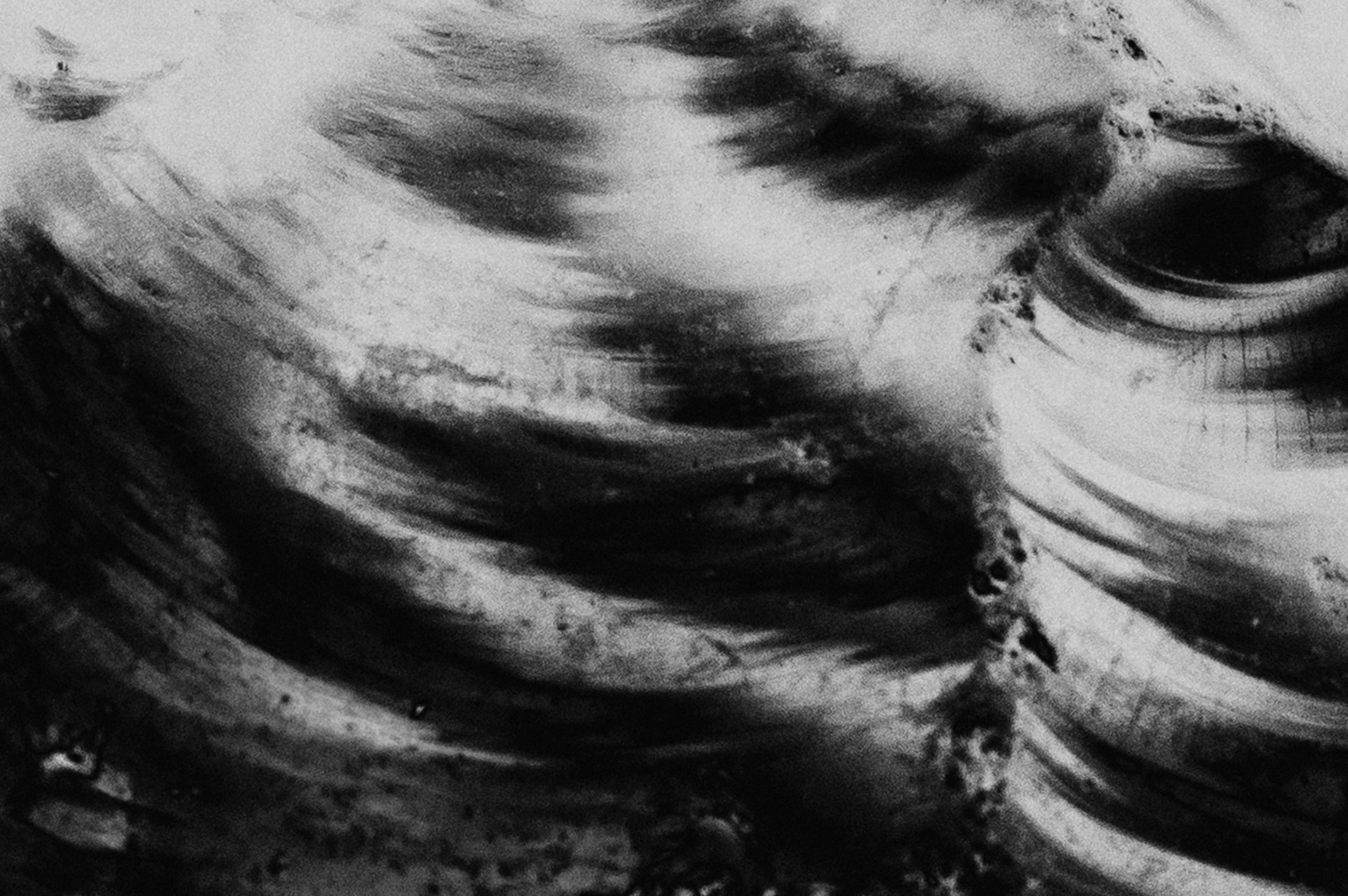 Waanplekken 66 (2021)