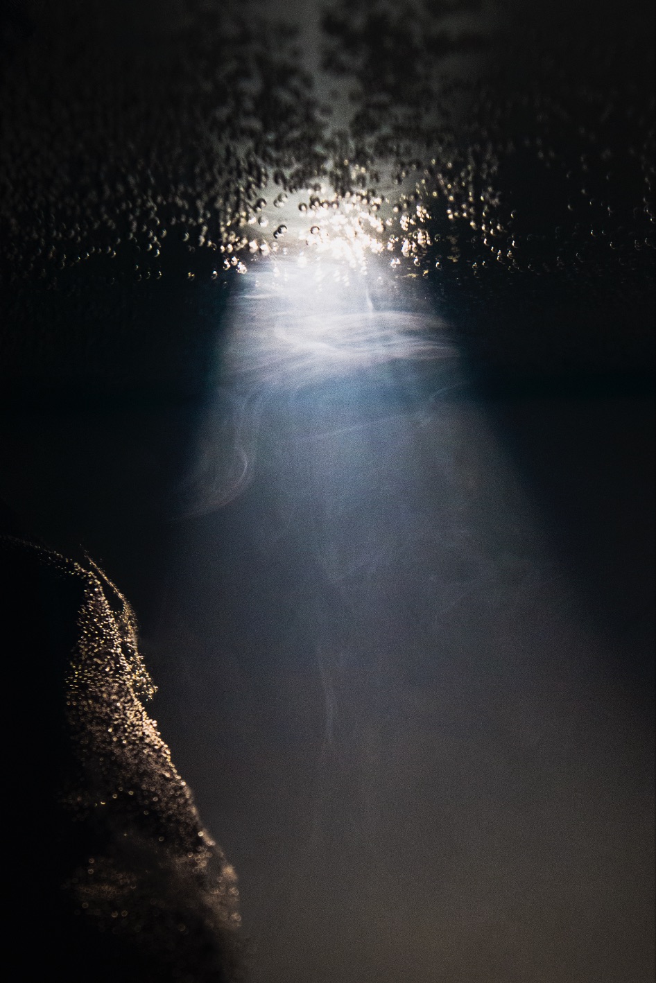 Waanplekken 68 (2021)