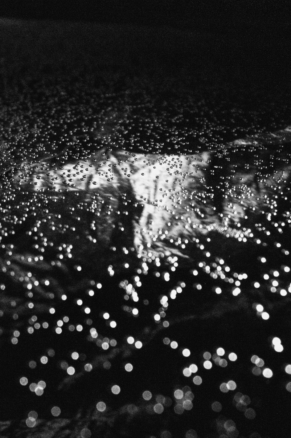 Waanplekken 76 (2021)