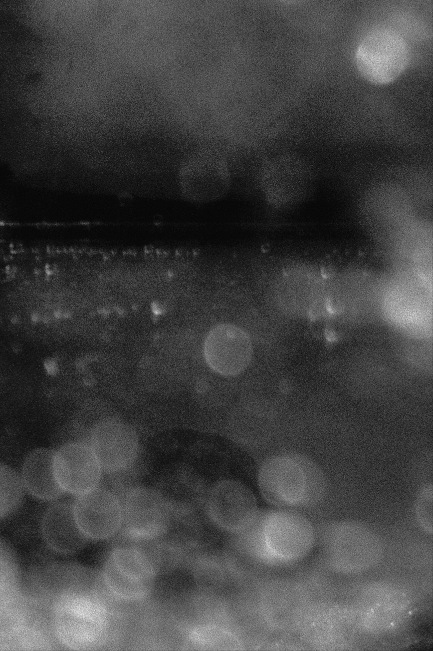 Waanplekken 77 (2021)