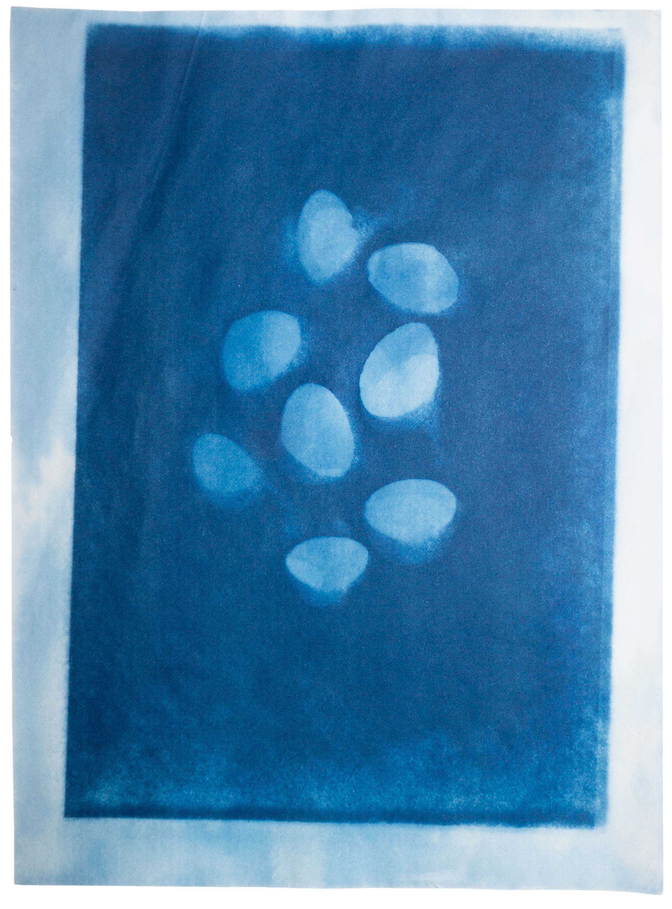 Waanplekken 83 (2021)