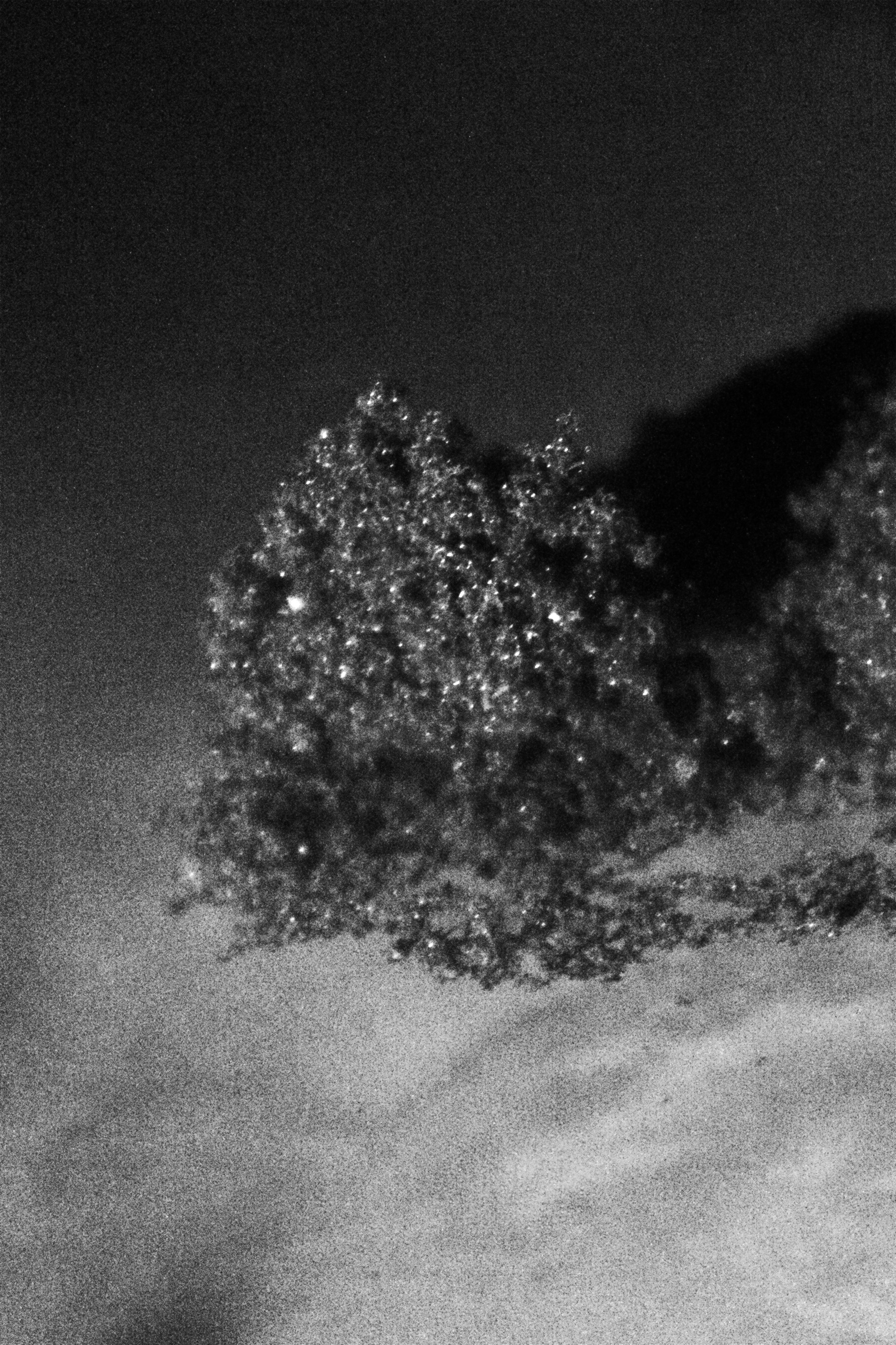 Waanplekken 99 (2025)