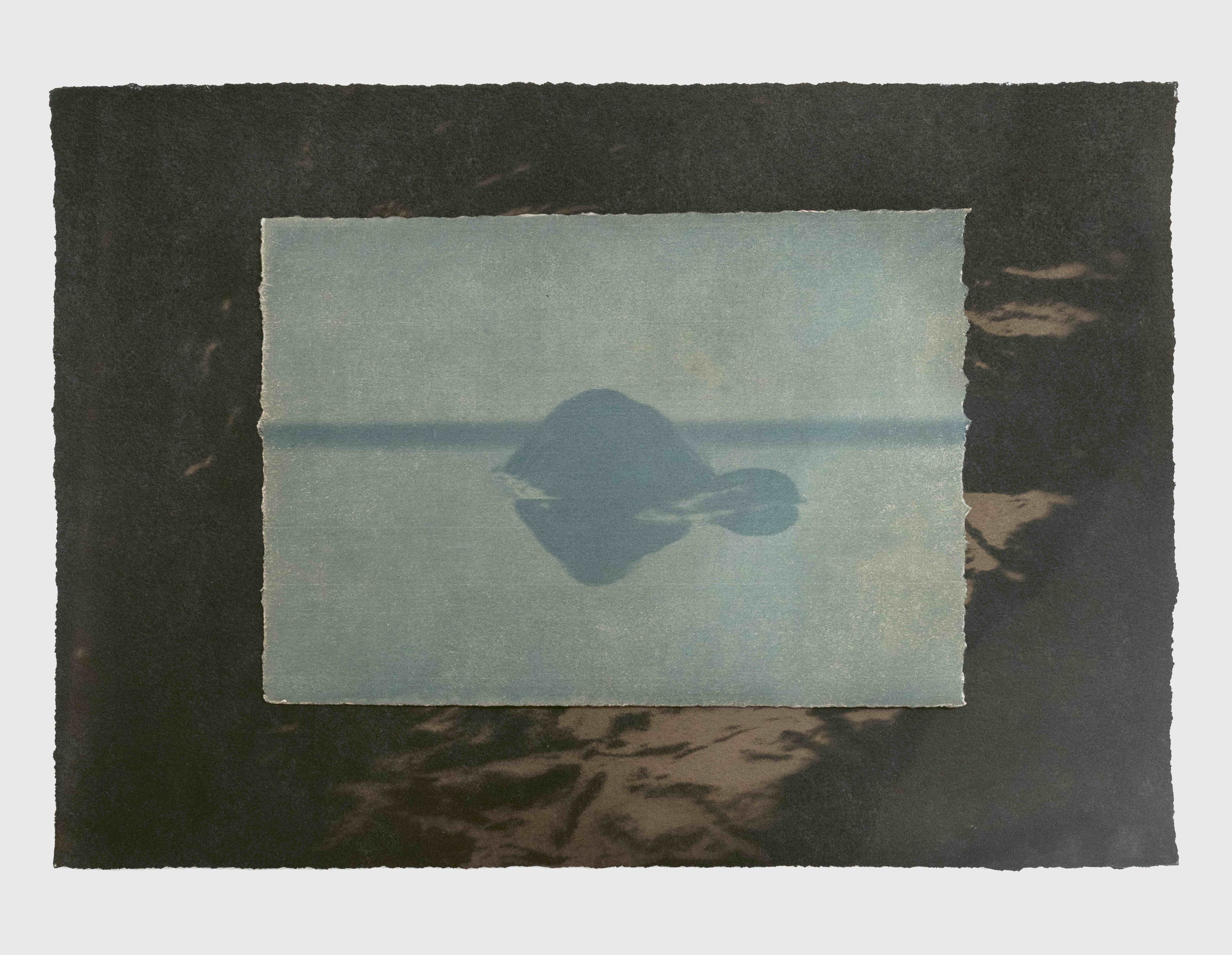 Waanplekken 113 (2025)