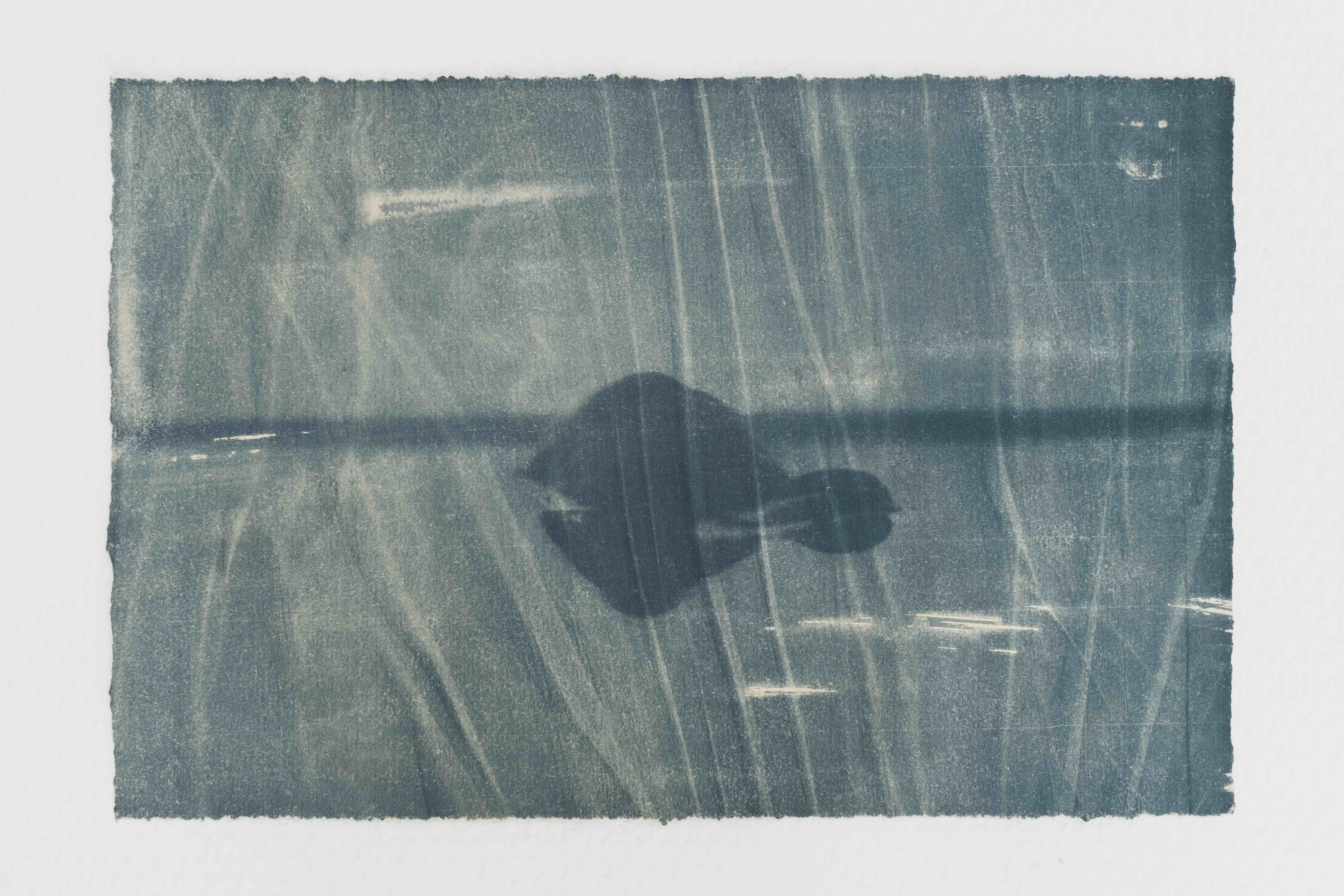 Waanplekken 114 (2025)